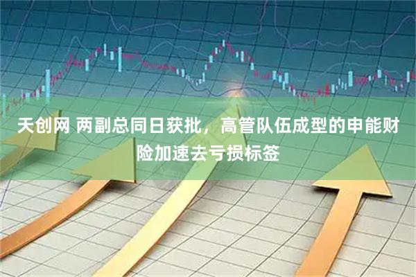 天创网 两副总同日获批,高管队伍成型的申能财险加速去亏损标签