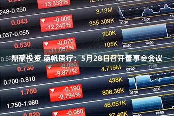 鼎豪投资 蓝帆医疗：5月28日召开董事会会议