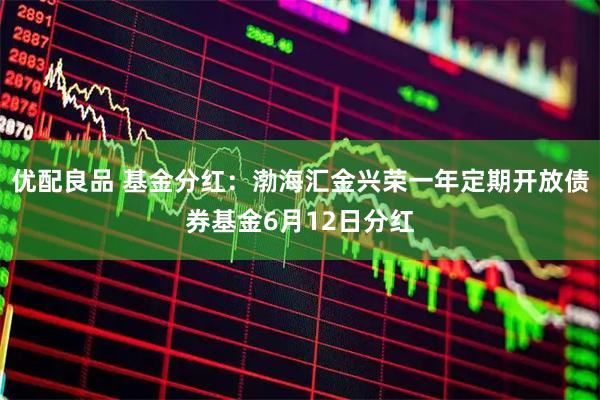 优配良品 基金分红：渤海汇金兴荣一年定期开放债券基金6月12日分红