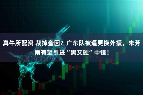 真牛所配资 裁掉奎因?广东队被逼更换外援,朱芳雨有望引进“黑又硬”中锋!