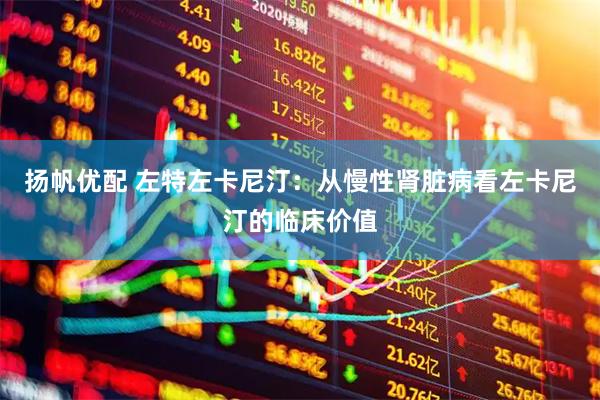 扬帆优配 左特左卡尼汀：从慢性肾脏病看左卡尼汀的临床价值