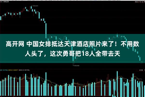 高开网 中国女排抵达天津酒店照片来了！不用数人头了，这次勇哥把18人全带去天